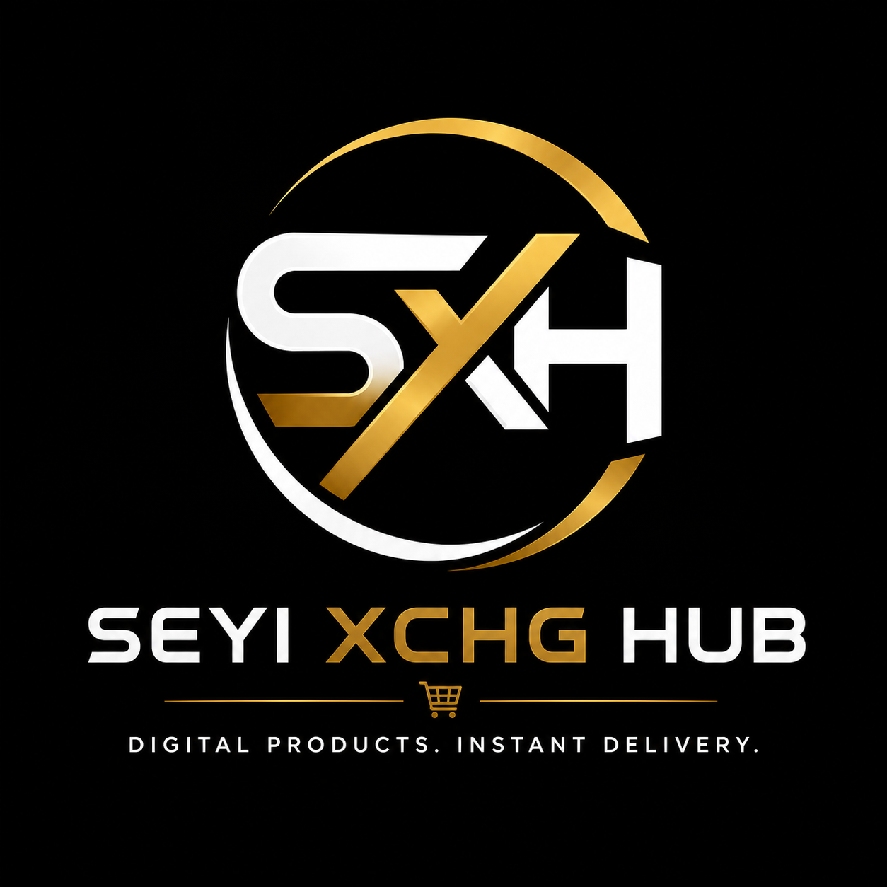 Seyi Xchg Hub